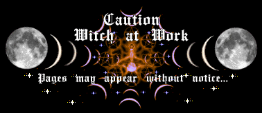 Caution Witch At Work